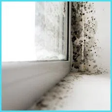 Fort Lauderdale Restoration Company Fort Lauderdale, FL 954-417-0601 - cont-mold-2