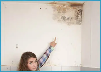 Fort Lauderdale Restoration Company Fort Lauderdale, FL 954-417-0601 - cont-mold
