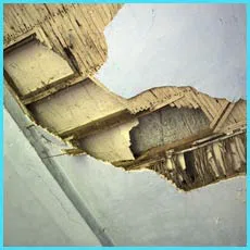 Fort Lauderdale Restoration Company Fort Lauderdale, FL 954-417-0601 - cont-water-2