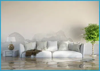 Fort Lauderdale Restoration Company Fort Lauderdale, FL 954-417-0601 - cont-water-damage-2