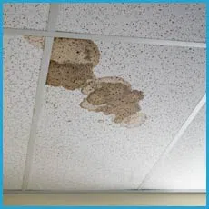 Fort Lauderdale Restoration Company Fort Lauderdale, FL 954-417-0601 - water-leaks-sidebar